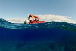 Plongée en apnée à Molokini et excursion sur la côte sud de Maui