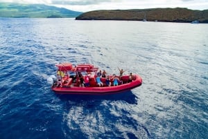 Snorkel em Molokini e passeio pela costa sul de Maui