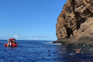 Plongée en apnée à Molokini et excursion sur la côte sud de Maui