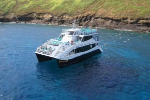 Sul de Maui: Aventura de mergulho com snorkel em Molokini