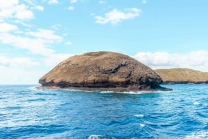 Sør-Maui: Snorkling på Molokini