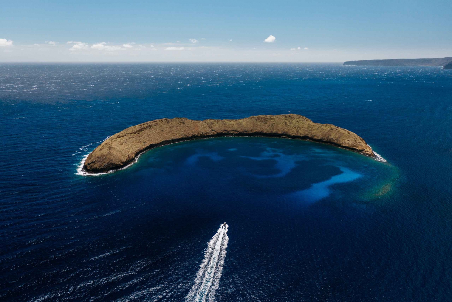 Sud de Maui : Croisière de plongée en apnée au cratère volcanique de Molokini