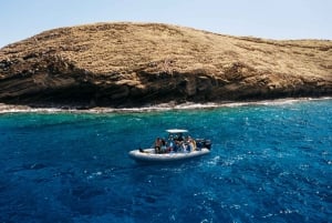 Sul de Maui: cruzeiro com mergulho com snorkel na cratera vulcânica Molokini