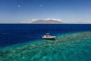 Sud de Maui : Croisière de plongée en apnée au cratère volcanique de Molokini