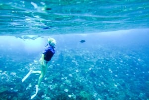 Etelä-Maui: Molokini Wild Eco Adventure Maalaean satamasta käsin