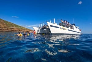Sør-Maui: PM Snorkel til Coral Gardens eller Molokini-krateret