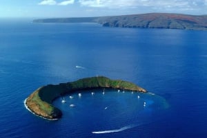 Södra Maui: PM Snorkel till Coral Gardens eller Molokini Crater