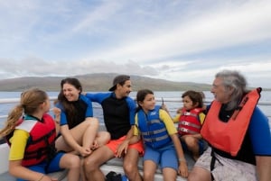 Det sydlige Maui: Snorkeltur til Coral Gardens eller Molokini Crater om eftermiddagen