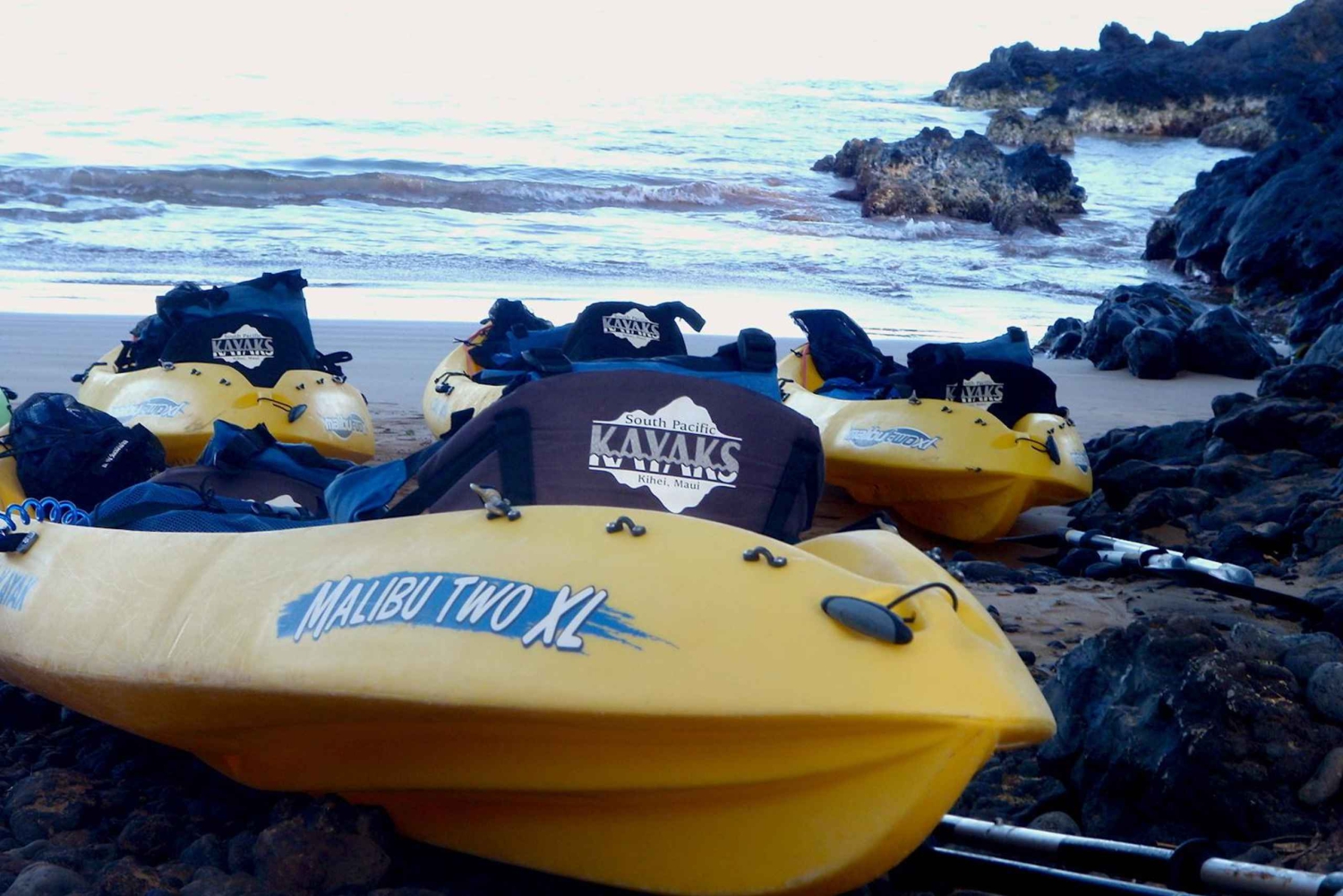 Południowe Maui: Premium Turtle Town Kayak and Snorkel Tour