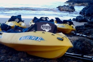 Zuid-Maui: Premium Turtle Town-kajak- en snorkeltour