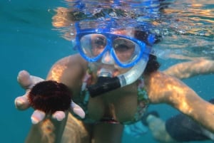 South Maui: Premium Turtle Town Kajakk og Snorkel Tour