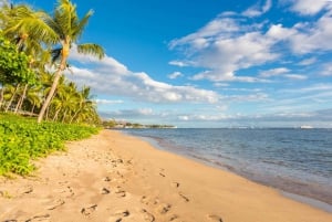 Maui: Road to Hana Selbstgeführte Audiotour