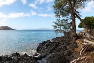 Maui: Veien til Hana - selvguidende kjøretur med lydpakke