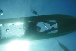 South Maui: tour in kayak con fondo trasparente senza guida