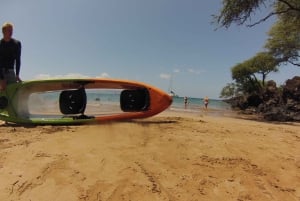 South Maui: Self Guided Clear Bottom Kayak Tour