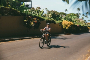 South Maui: Self-Guided E-Bike, Hike and Snorkel Excursion