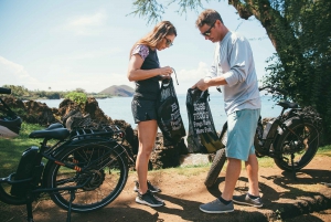 South Maui: Self-Guided E-Bike, Hike and Snorkel Excursion