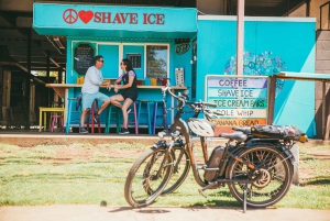 South Maui: Self-Guided E-Bike, Hike and Snorkel Excursion