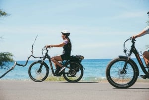 Maui Sud : Excursion auto-guidée en E-Bike, randonnée et snorkeling