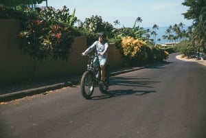 South Maui: escursione in bici elettrica, escursione e snorkeling senza guida