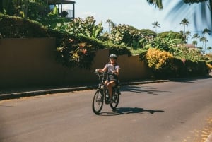 Zuid-Maui: zelfgeleide e-bike-, wandel- en snorkelexcursie