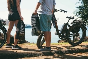Etelä-Maui: Maui: Itseopastettu sähköpyöräily, vaellus ja snorklausretki