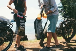 Etelä-Maui: Maui: Itseopastettu sähköpyöräily, vaellus ja snorklausretki