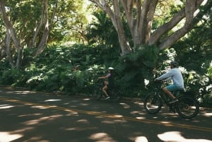 Sør-Maui: Selvstyrt e-sykkel, fottur og snorkelutflukt