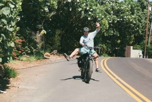 Zuid-Maui: zelfgeleide e-bike-, wandel- en snorkelexcursie
