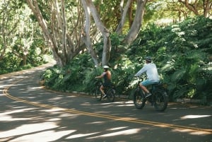 Южный Мауи: самоуправляемый электронный велосипед, поход и экскурсия с трубкой