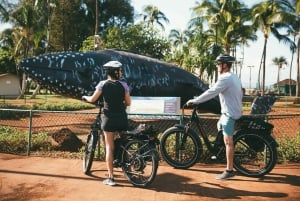 Sul de Maui: excursão autoguiada de bicicleta elétrica, caminhada e mergulho com snorkel