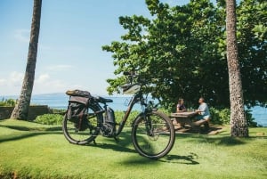 Sul de Maui: excursão autoguiada de bicicleta elétrica, caminhada e mergulho com snorkel