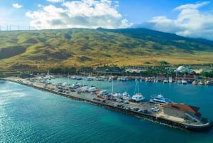 Sør-Maui: Middagscruise med Prime Rib eller Mahi Mahi ved solnedgang