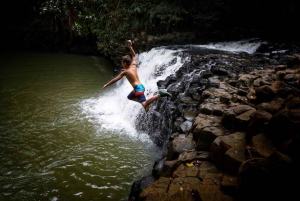 Sul de Maui: passeio pela cachoeira com caiaque, mergulho com snorkel e caminhada