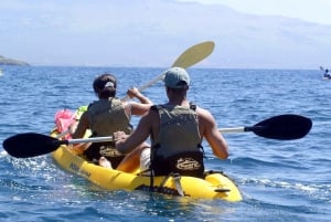 Södra Maui: Vattenfallstur med kajak, snorkling och vandring
