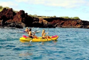Sør-Maui: Fossetur med kajakk, snorkling og fottur