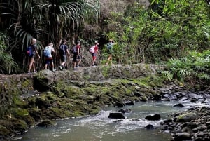 Południowe Maui: wycieczka po wodospadzie z kajakiem, rurką i wędrówką