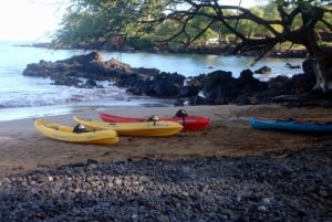 Södra Maui: Kajak- och snorkeltur med valskådning i Kihei