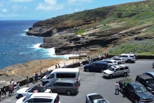 Honolulu : Vue imprenable sur Oahu ! Visite d'une demi-journée