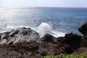 Honolulu : Vue imprenable sur Oahu ! Visite d'une demi-journée