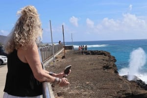 Honolulu : Vue imprenable sur Oahu ! Visite d'une demi-journée