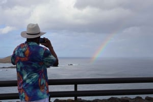 Honolulu : Vue imprenable sur Oahu ! Visite d'une demi-journée