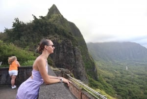 Honolulu : Vue imprenable sur Oahu ! Visite d'une demi-journée