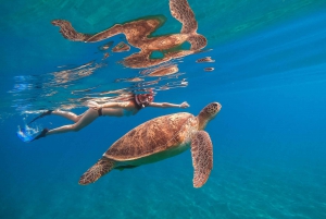 Sunset Dinner Cruise & Turtle Snorkeling with transport