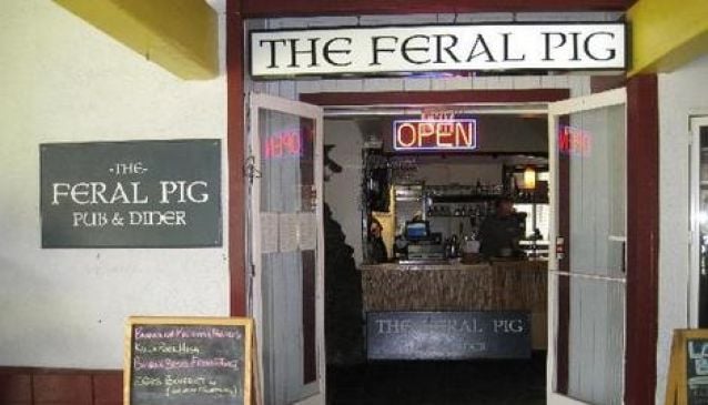 The Feral Pig