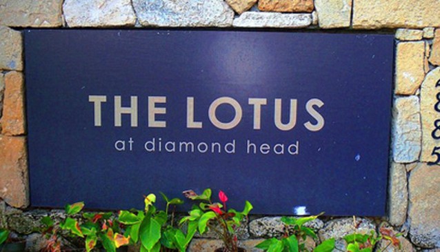The Lotus at Diamond Head