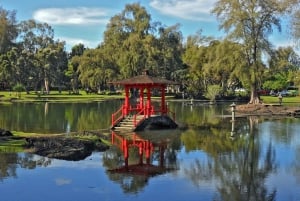 Hilo: wycieczka po wulkanach, wodospadach i plażach z lunchem