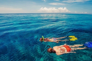 Tropical Reef Snorkel and Wildlife Boat Adventure