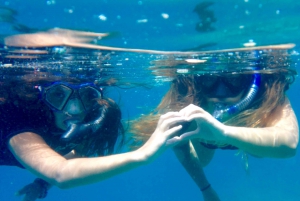 Tropical Reef Snorkel and Wildlife Boat Adventure