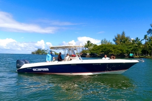 Tropical Reef Snorkel and Wildlife Boat Adventure